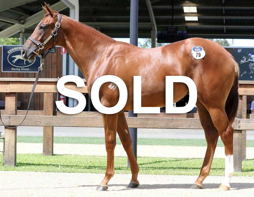 https://www.simonzahra.racing/wp-content/uploads/2021/10/Capiltalist_Filly_Sold.jpg