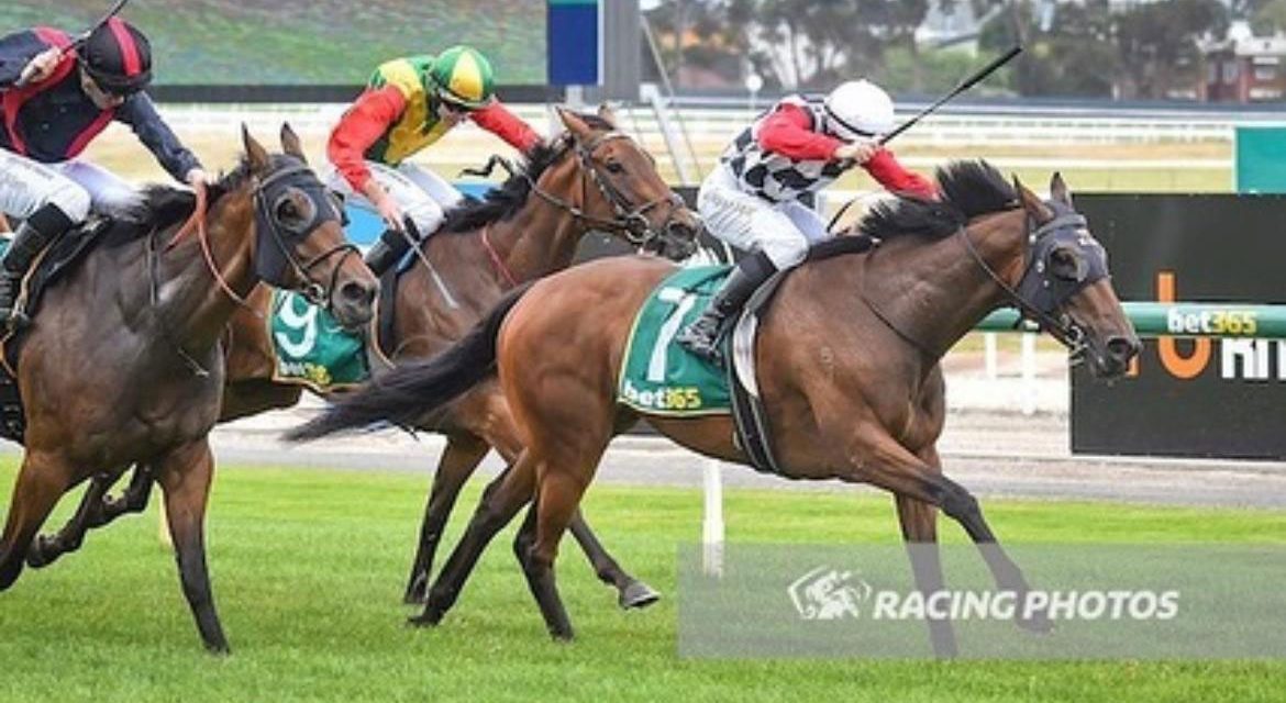 Benefactress Becomes First SZR Winner At Geelong