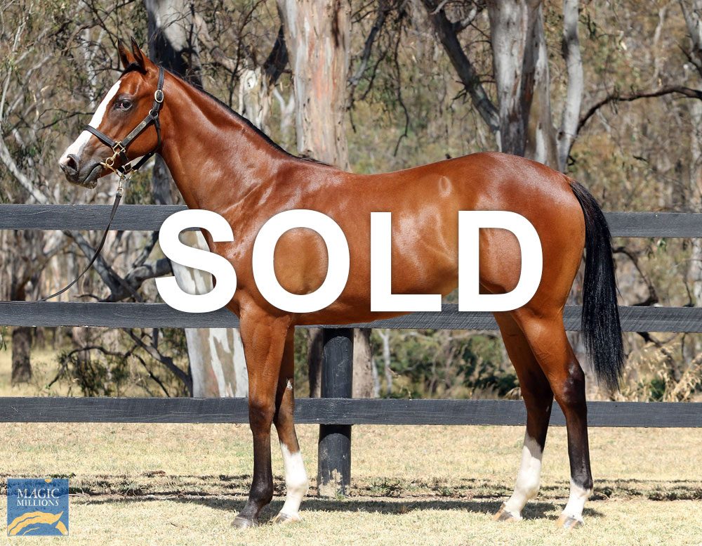 https://www.simonzahra.racing/wp-content/uploads/2022/01/Toronado-Filly_Sold.jpg