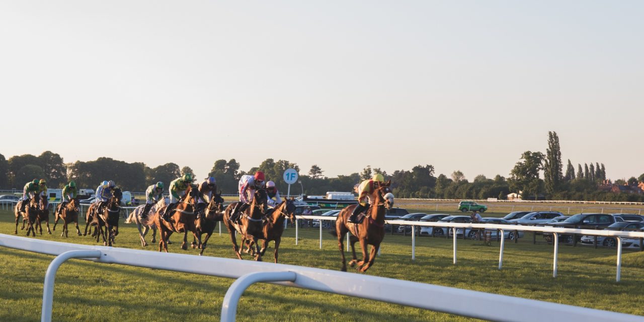 Racehorses Australia