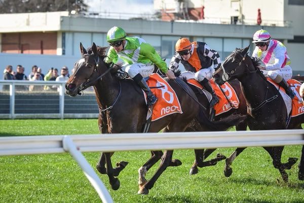 Little Stevie Goes Big at Caulfield