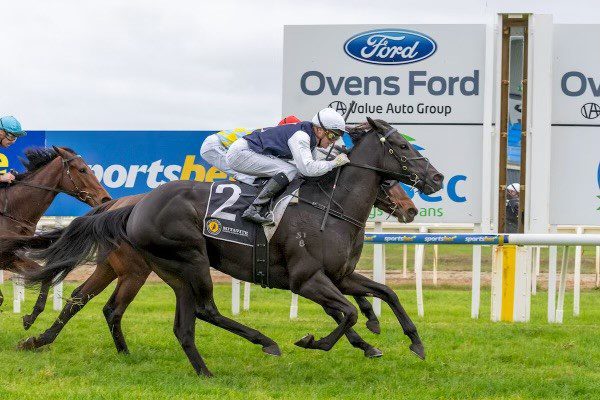 Tassie Siblings Give SZR a Double at Wangaratta