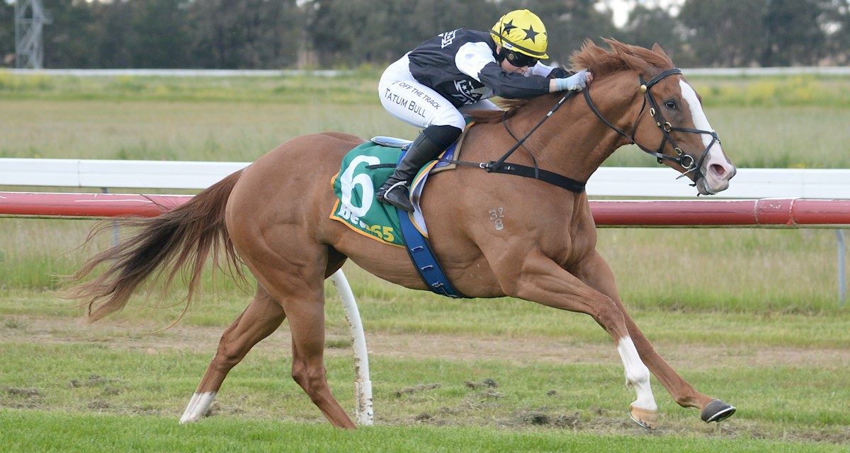 Suzy Sizzles At Murtoa