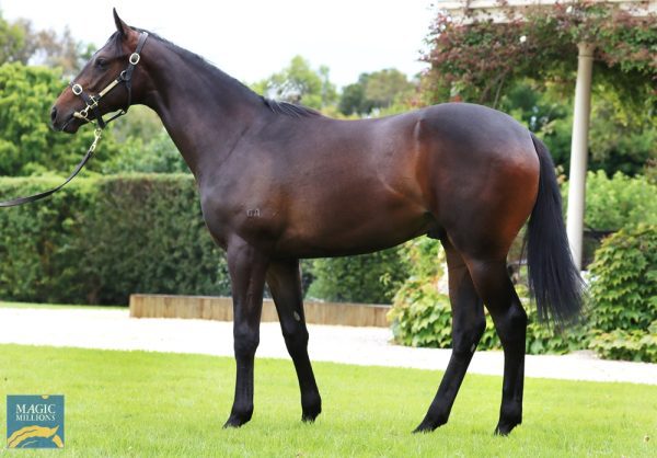 Capitalist Colt