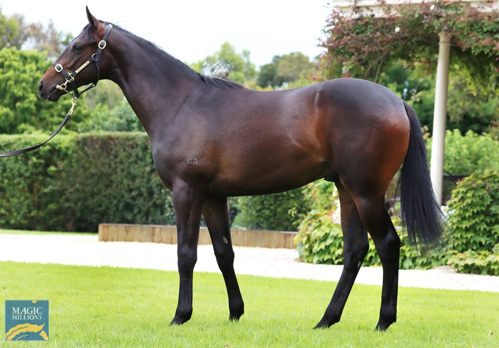 Capitalist Colt