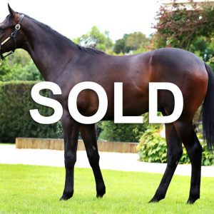 Capitalist Colt Sold