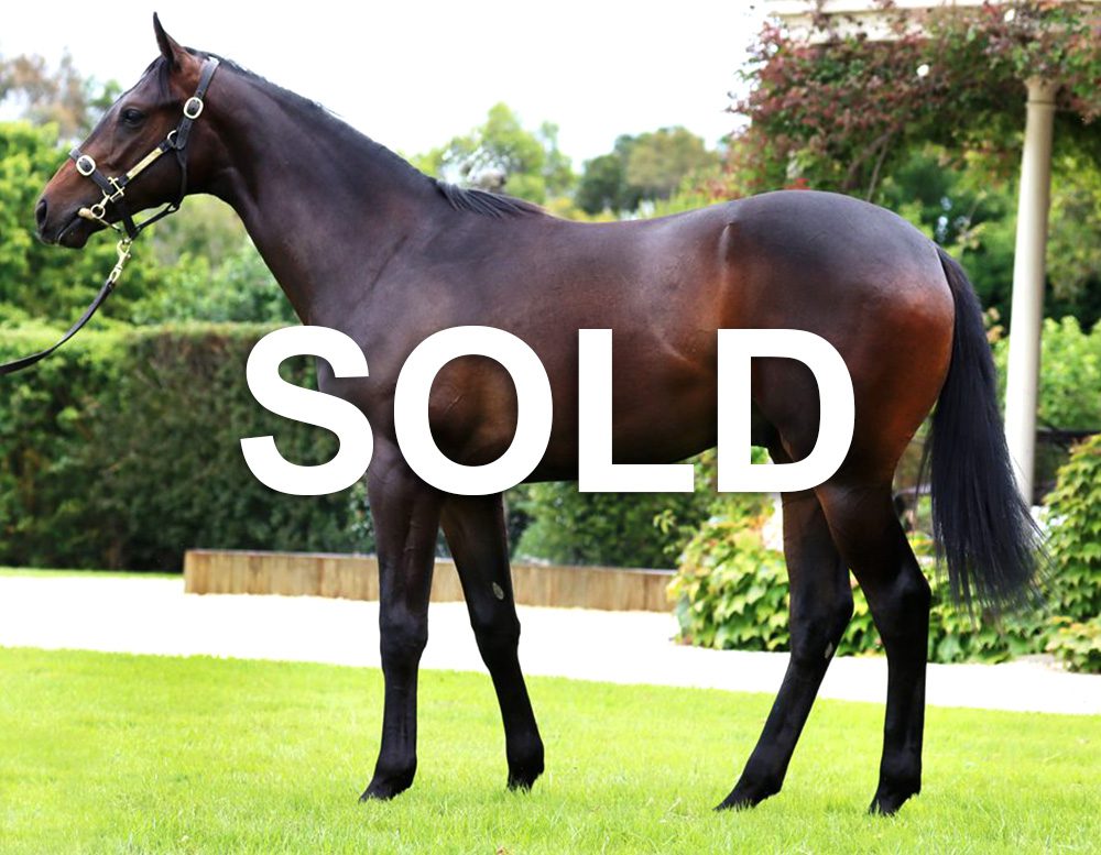 Capitalist Colt Sold