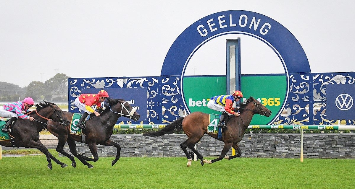 Winners Are Grinners At Geelong