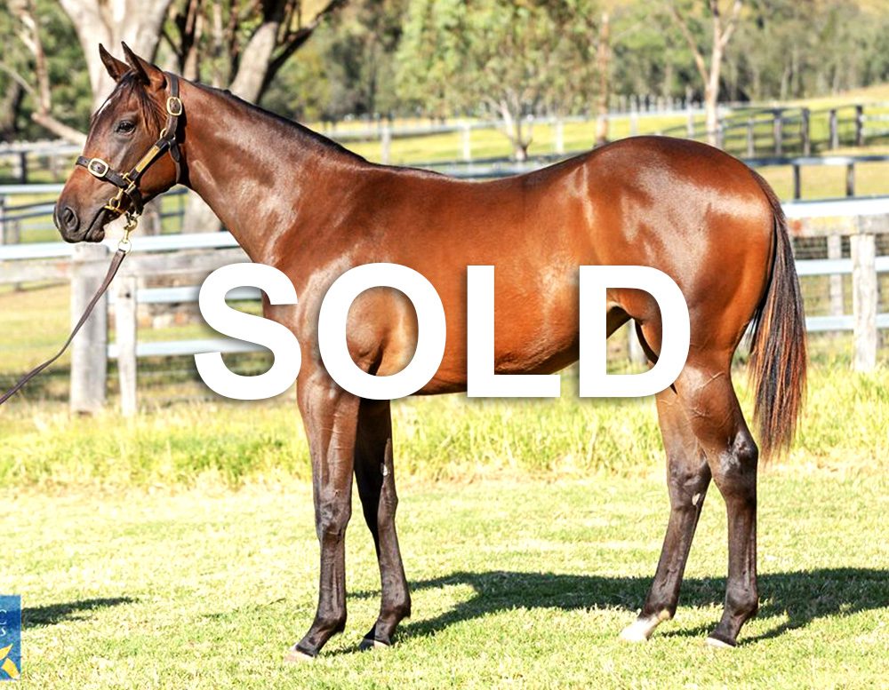 Sold Exceedance 1 1