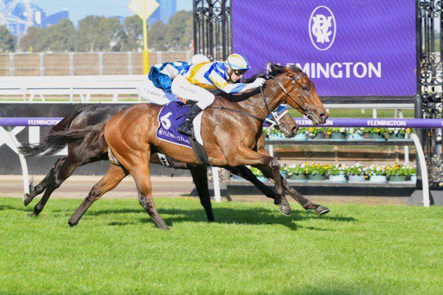 Above and Beyond at Flemington