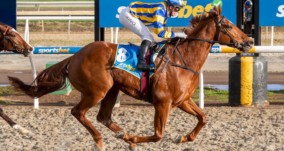 Shootoose Cuts Loose At Ballarat