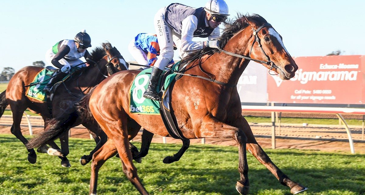 Tavisteel Tames Them At Echuca