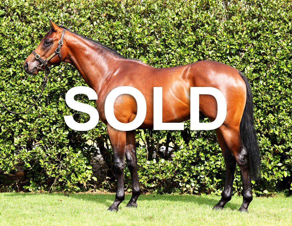 Vadamos Floramour Sold