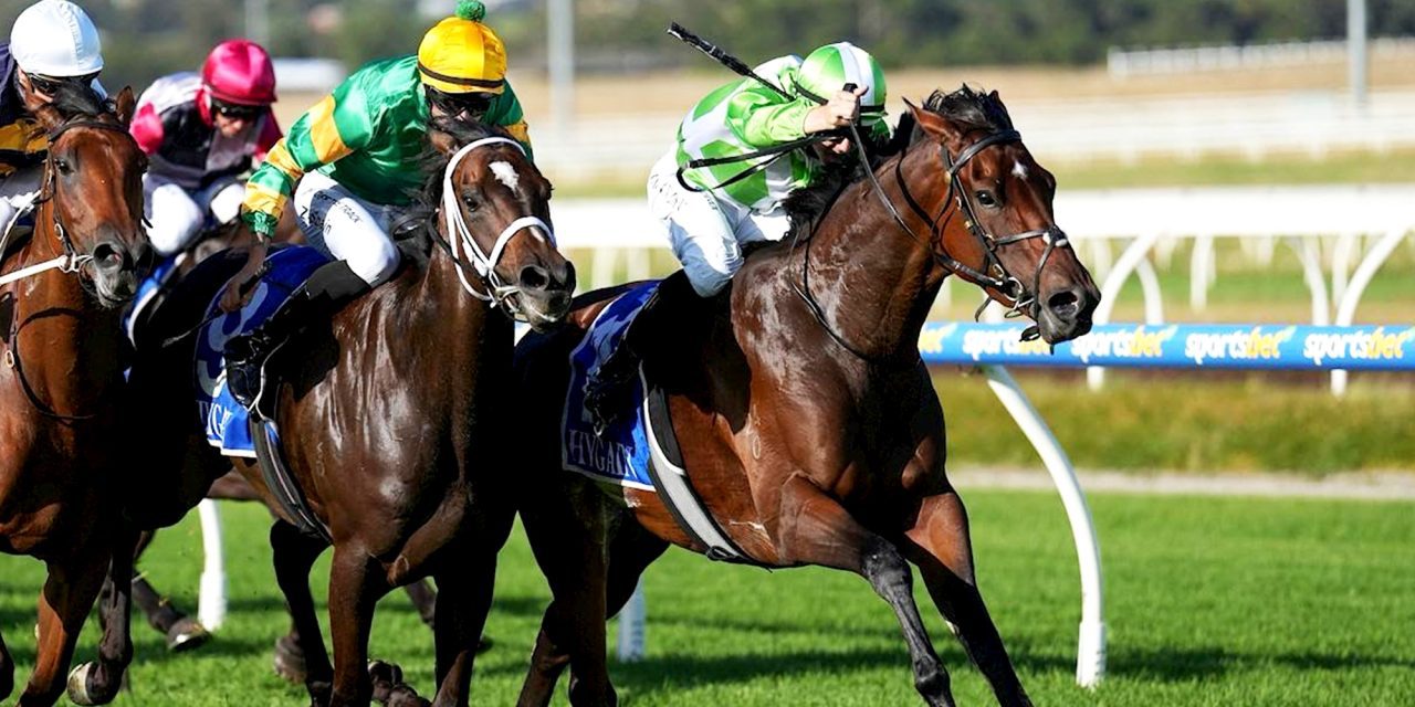 Racehorse Shares for Sale in Australia