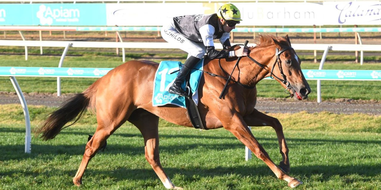 Superior Win By, Superior Zara