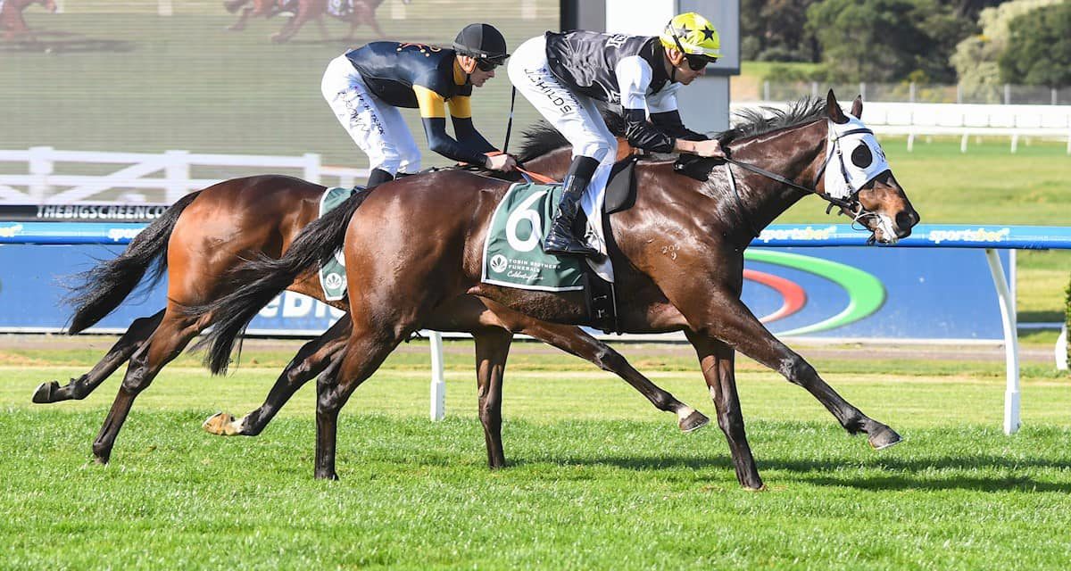 Another win secured from our promising stayer DJOCKOVIC!