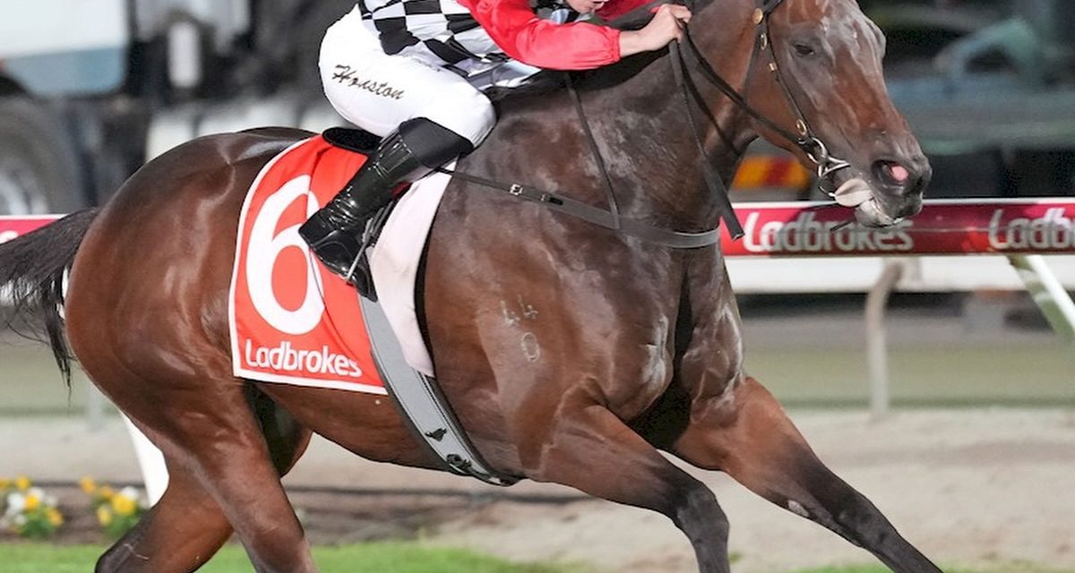Sizzling Soju Shows Class on Friday Night Racing!