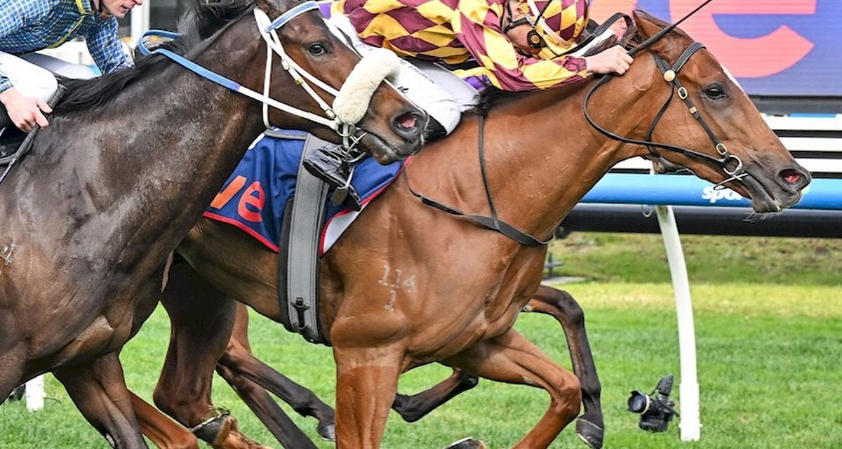 XARPO Returns With a Bang First Up at Caulfield