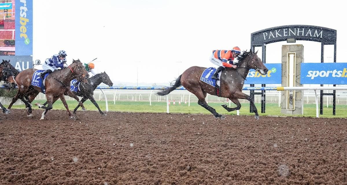 Bardia’s Dream Breaks Through In Style
