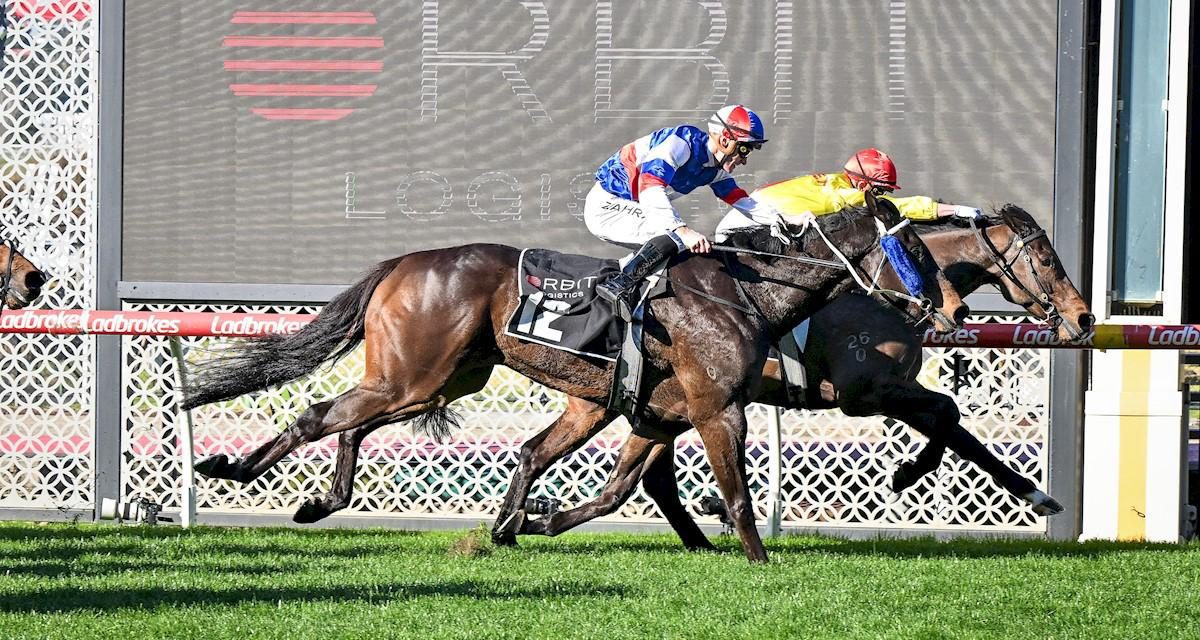 Don’t Hope Do Delivers at The Valley