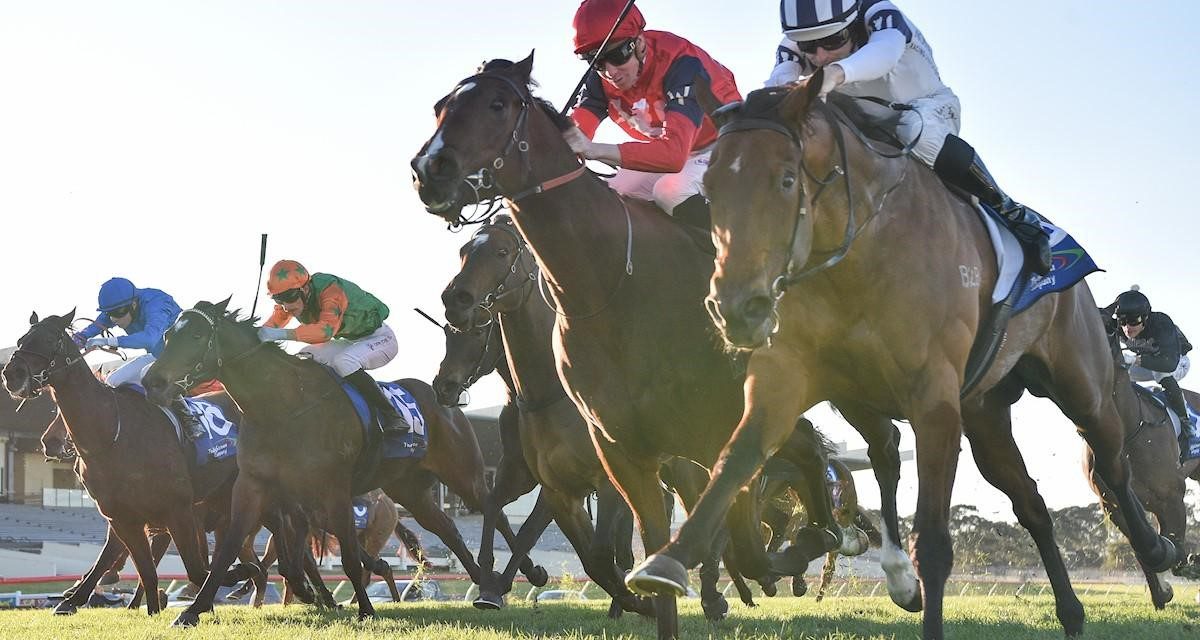 Princess Que the Queen of Sandown