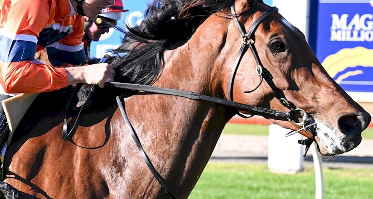 Bardia’s Dream Run At Seymour