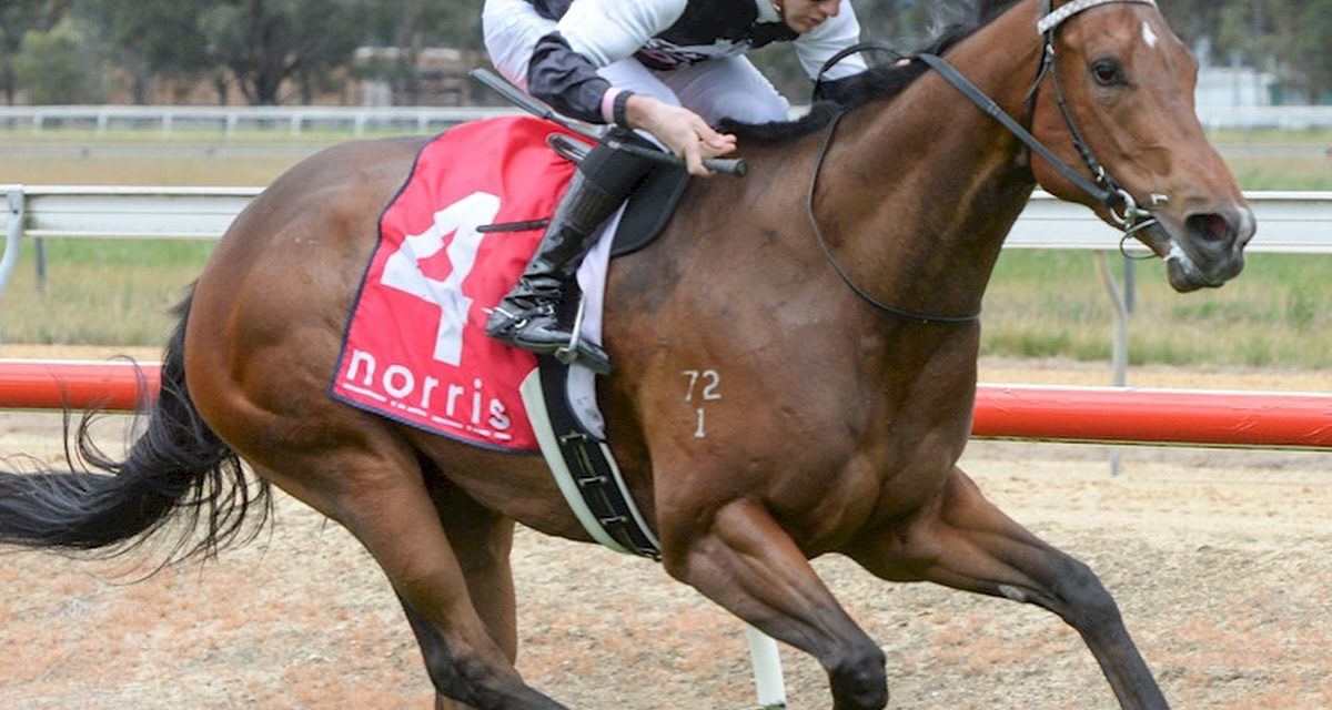 Brutal World Wins At Bairnsdale