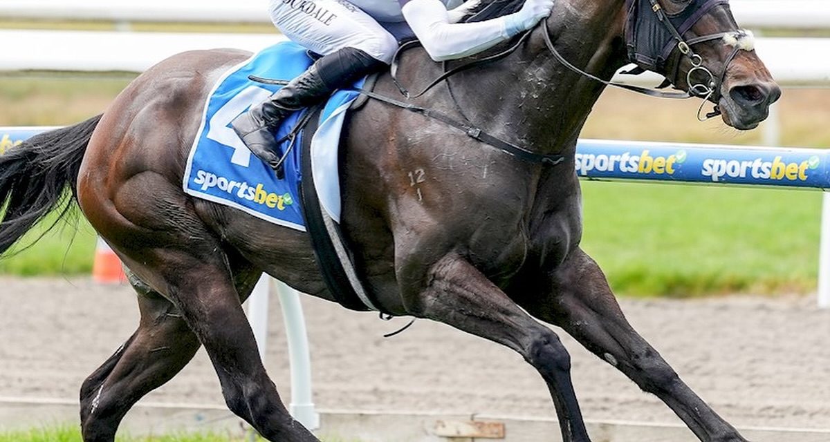 Fast Filly REGINA D’ORO Wins Maiden at Second Start