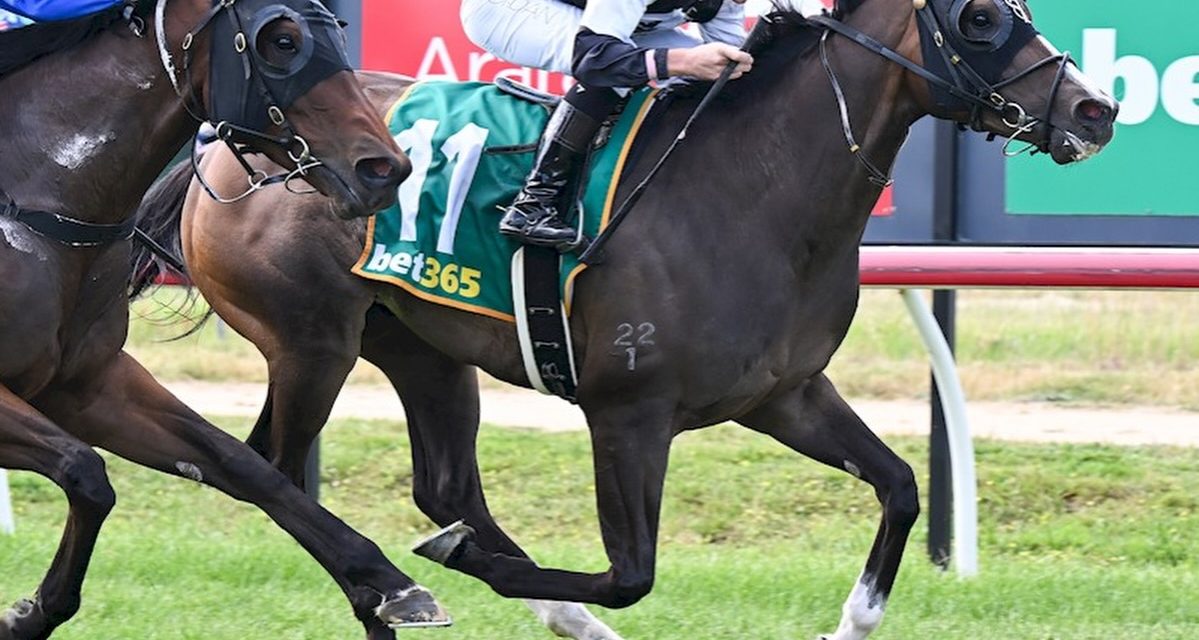 Venderlee Wins at Ararat