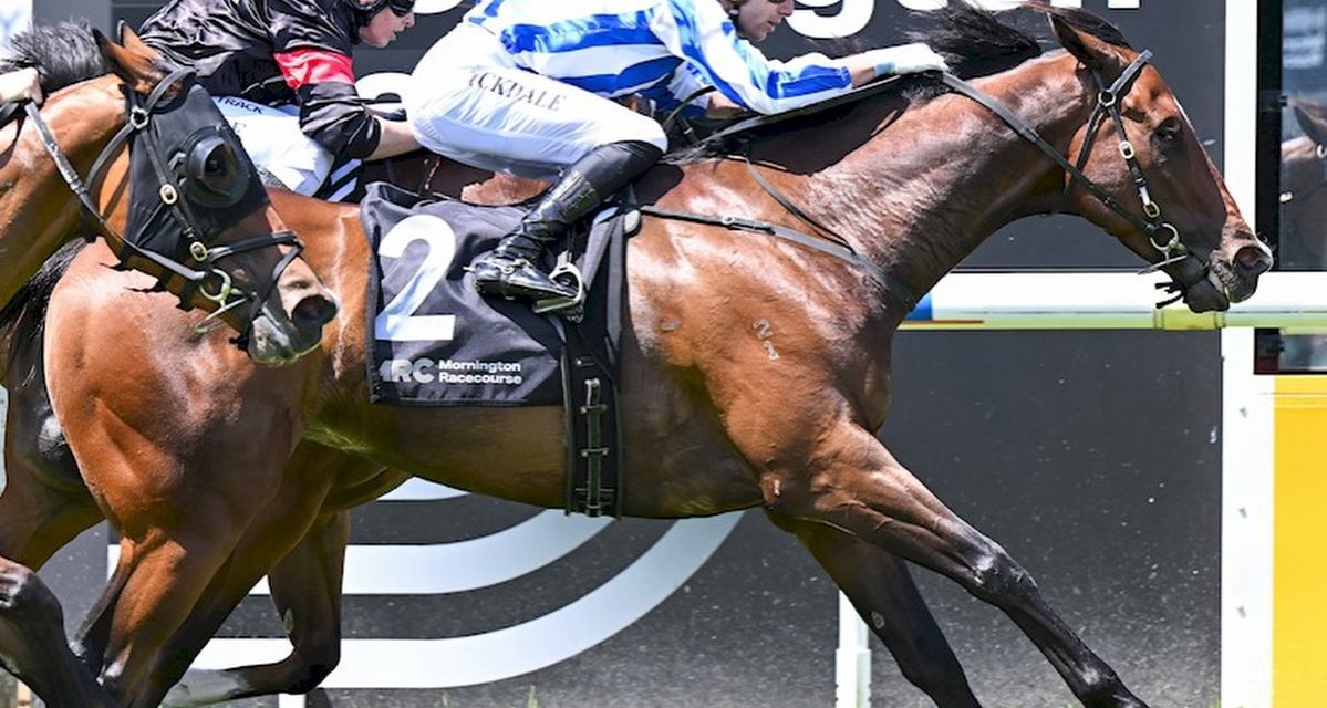 Magic Gets The Money At Mornington