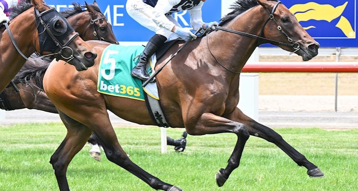 Mr Epozino Steals The Show At Seymour Racing Club
