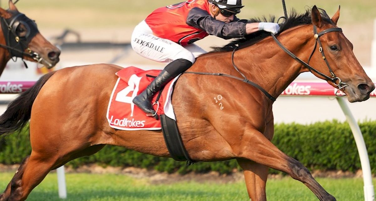 Talented 3YO Onavuitton Breaks Maiden At Third Start