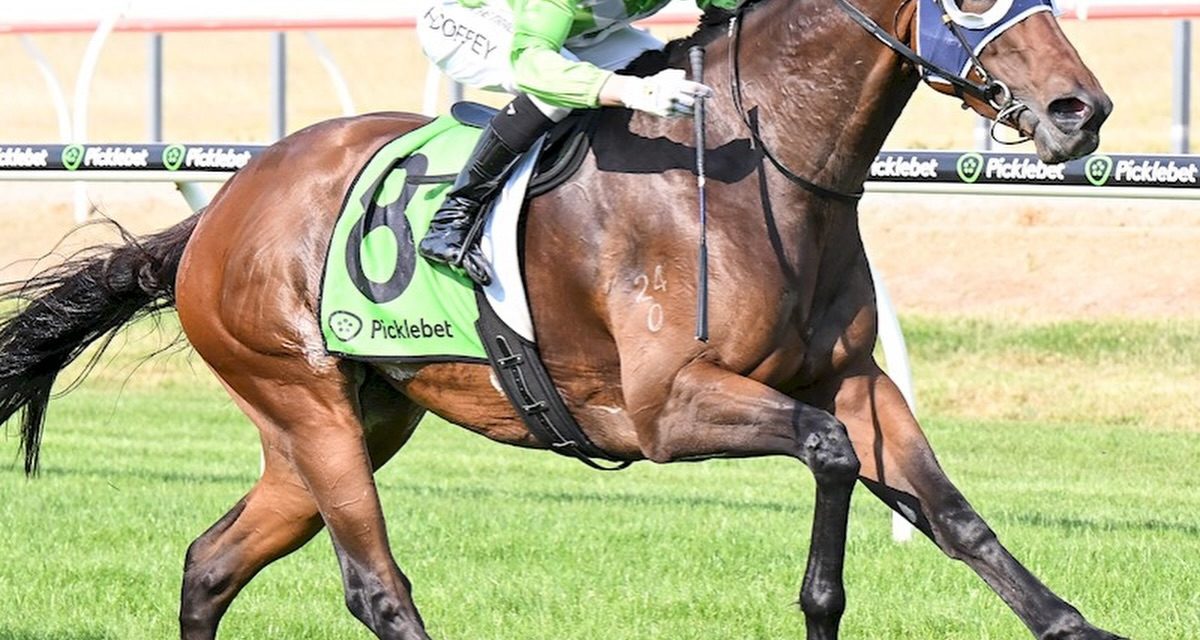 Sinister Sauce Sizzles At Werribee
