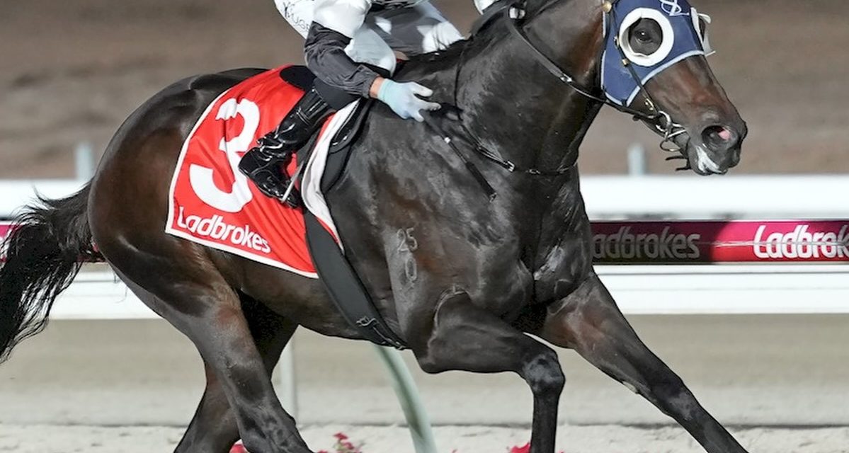 Stolen Art Flies At Cranbourne Saturday Night