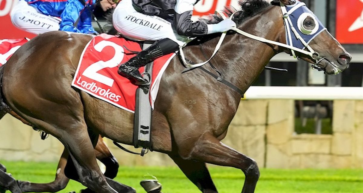Djockovic Back To Back Wins At Pakenham