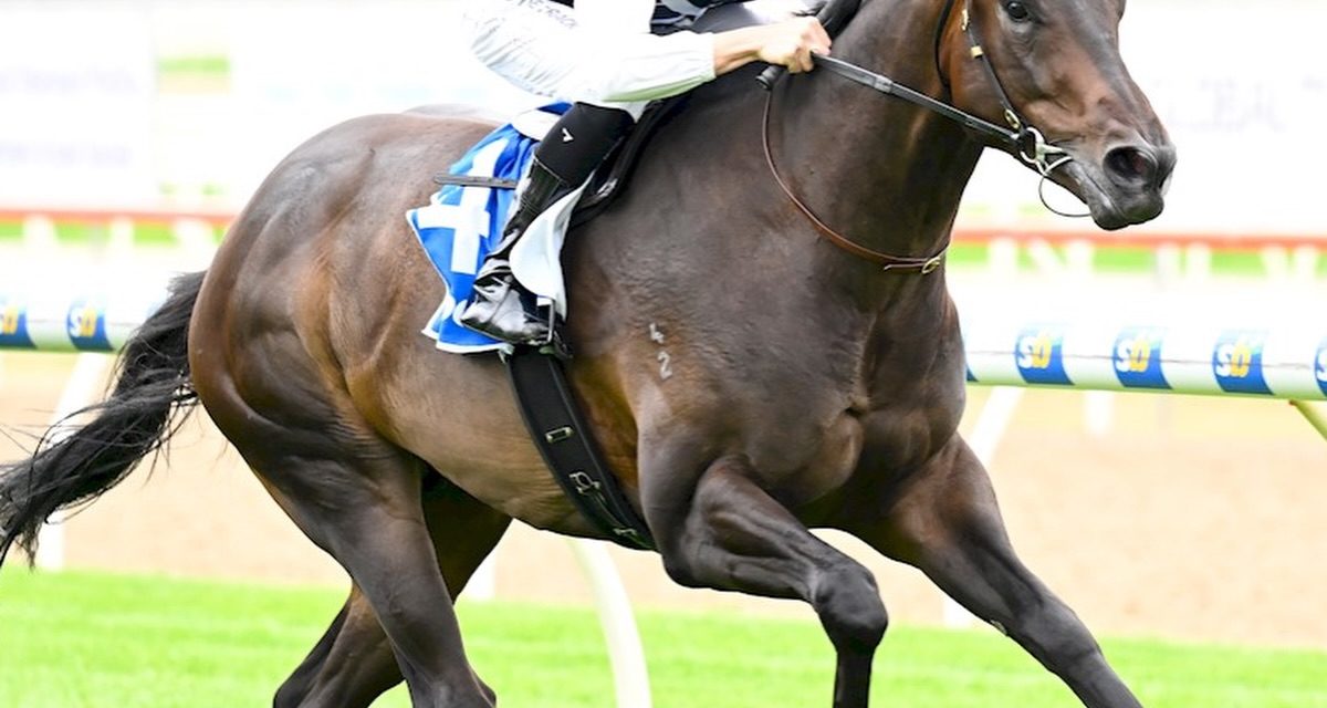 Exciting Prospect Lawborough Wins First Start
