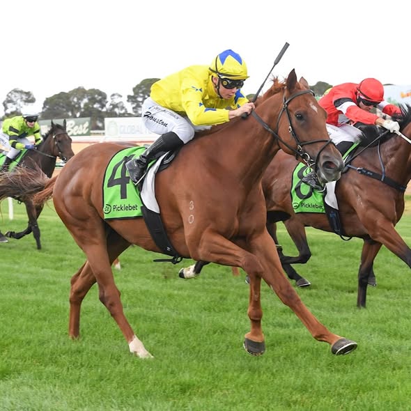 Nerola Wins First Up For New Stable