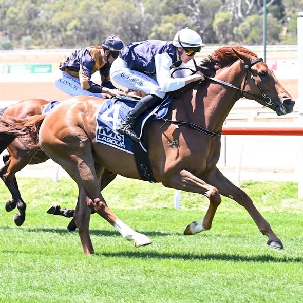 Shrewsbury Road Back In The Winners Circle At Kilmore