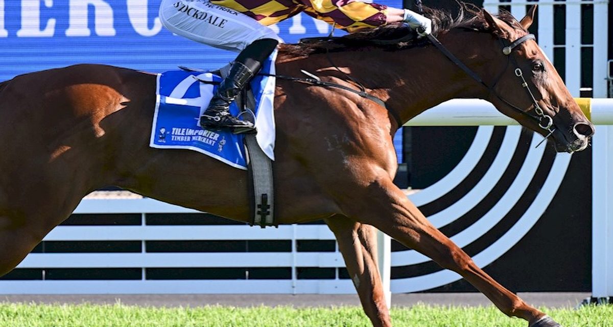 Xarpo Resumes In Style At Caulfield