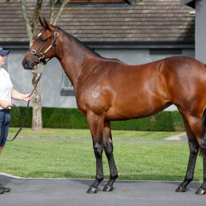 https://www.simonzahra.racing/wp-content/uploads/2026/03/Ardrossan-x-Brancolare-Filly-300x300.jpg