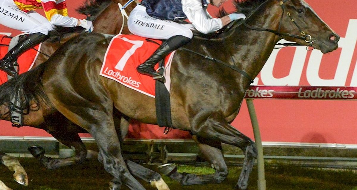 Lawborough Remains Unbeaten After Cranbourne Win
