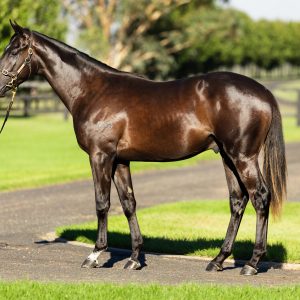 https://www.simonzahra.racing/wp-content/uploads/2026/03/Maurice-x-Oohood-Colt-300x300.jpg