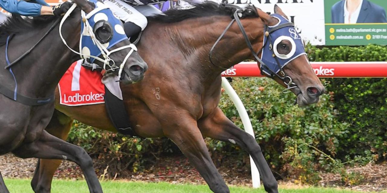 Mayeki Rewards loyal Owners With Stony Creek Win