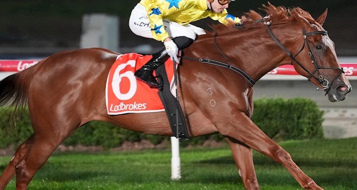 Nerola On A Roll At Cranbourne