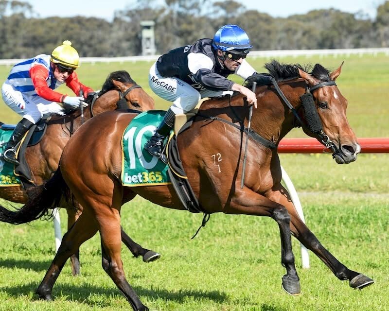 Brutal Win For Brutal World At Donald