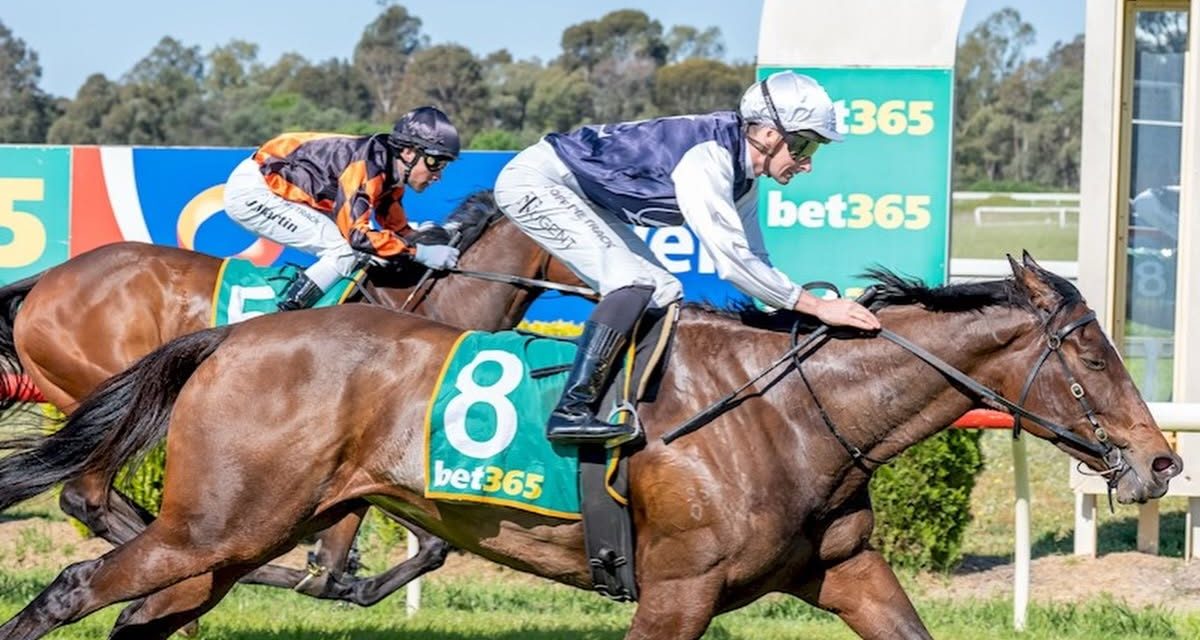 Mayeki Wins Again Impressively