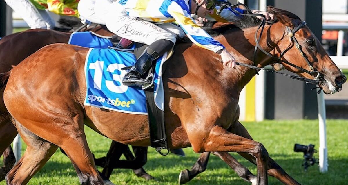Oceanella Back To Back At Mornington