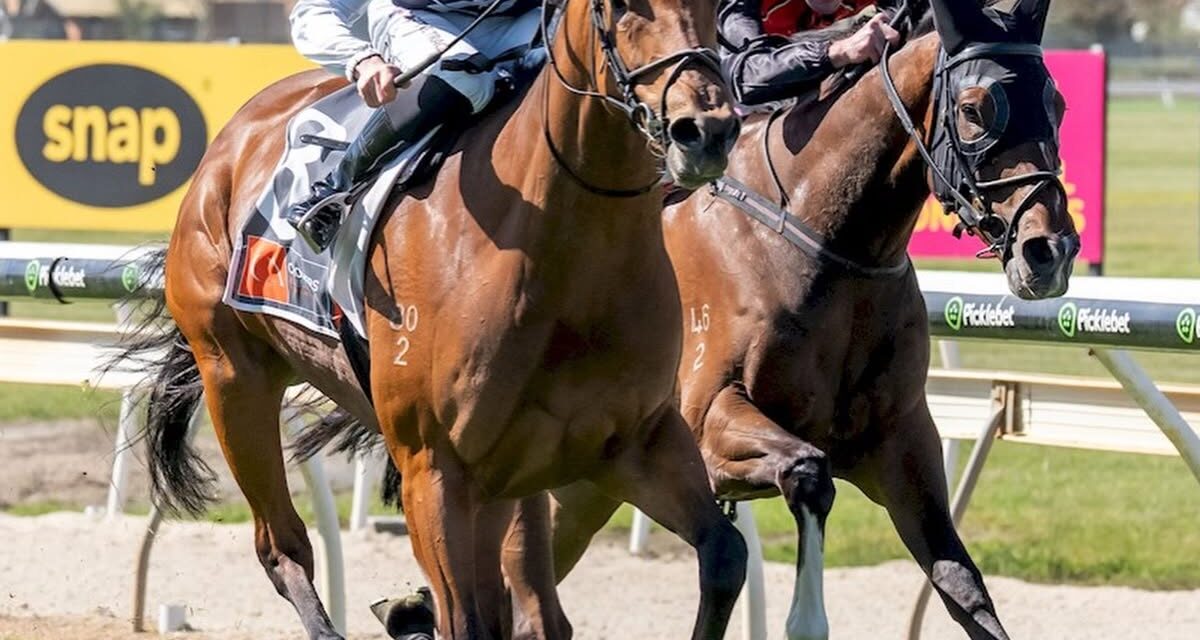 Wodonga The Place With Sheza Raveela Winning